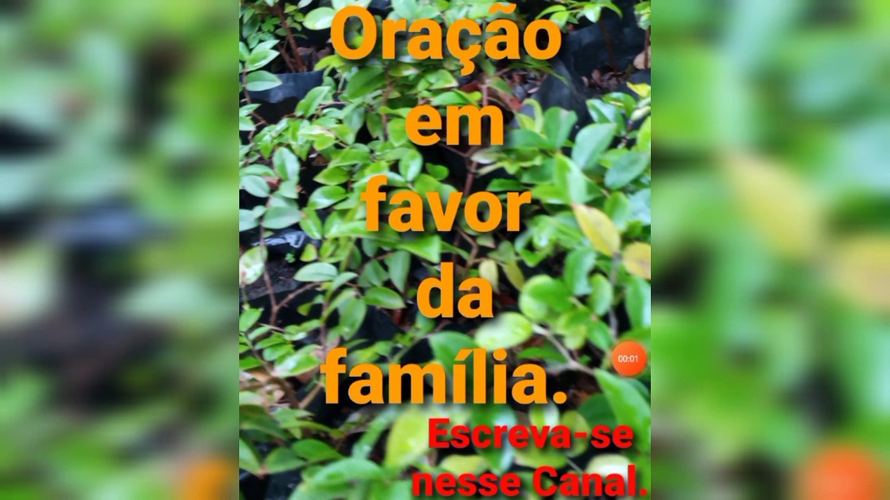 Oração em favor da família. Bênçãos de Deus.