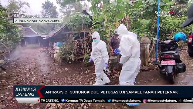 Antraks di Gunungkidul, Petugas Uji Sampel Tanah Peternak