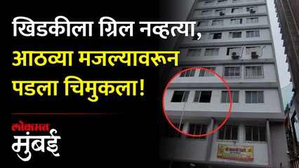 इमारतीच्या आठव्या मजल्यावरून पडून चिमुकल्याचा दुर्दैवी मृत्यू...