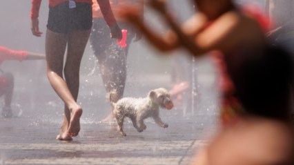 ¿Cuánto calor hará este verano?