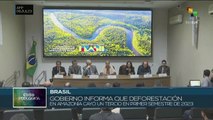 Deforestación en la Amazonia disminuyó durante el mandato del presidente Lula