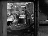 Aguas Pantanosas  (Swamp Water, 1941) - Película completa en español