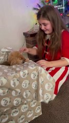 Grateful girl chokes up after her dream of 6 years finally becomes a reality *She got her own PUPPY!*