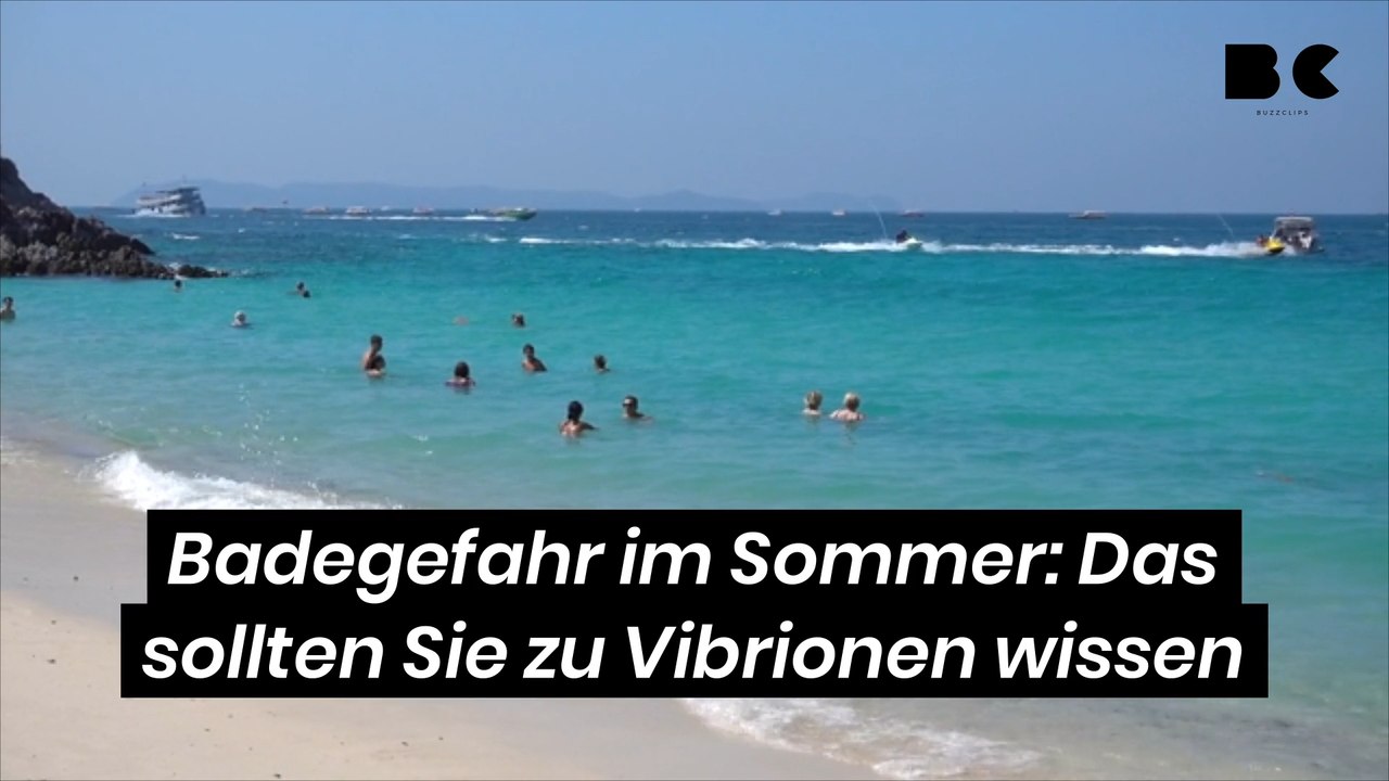 Badegefahr im sommer: das sollten sie zu vibrionen wissen