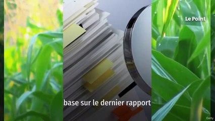 Avec le réchauffement climatique, bienvenue dans la France de 2050