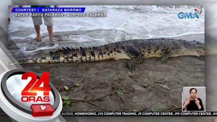 14.9 ft. na buwaya, namatay matapos umanong hulihin at dalhin sa pampang ng mga mangingisda | 24 Oras