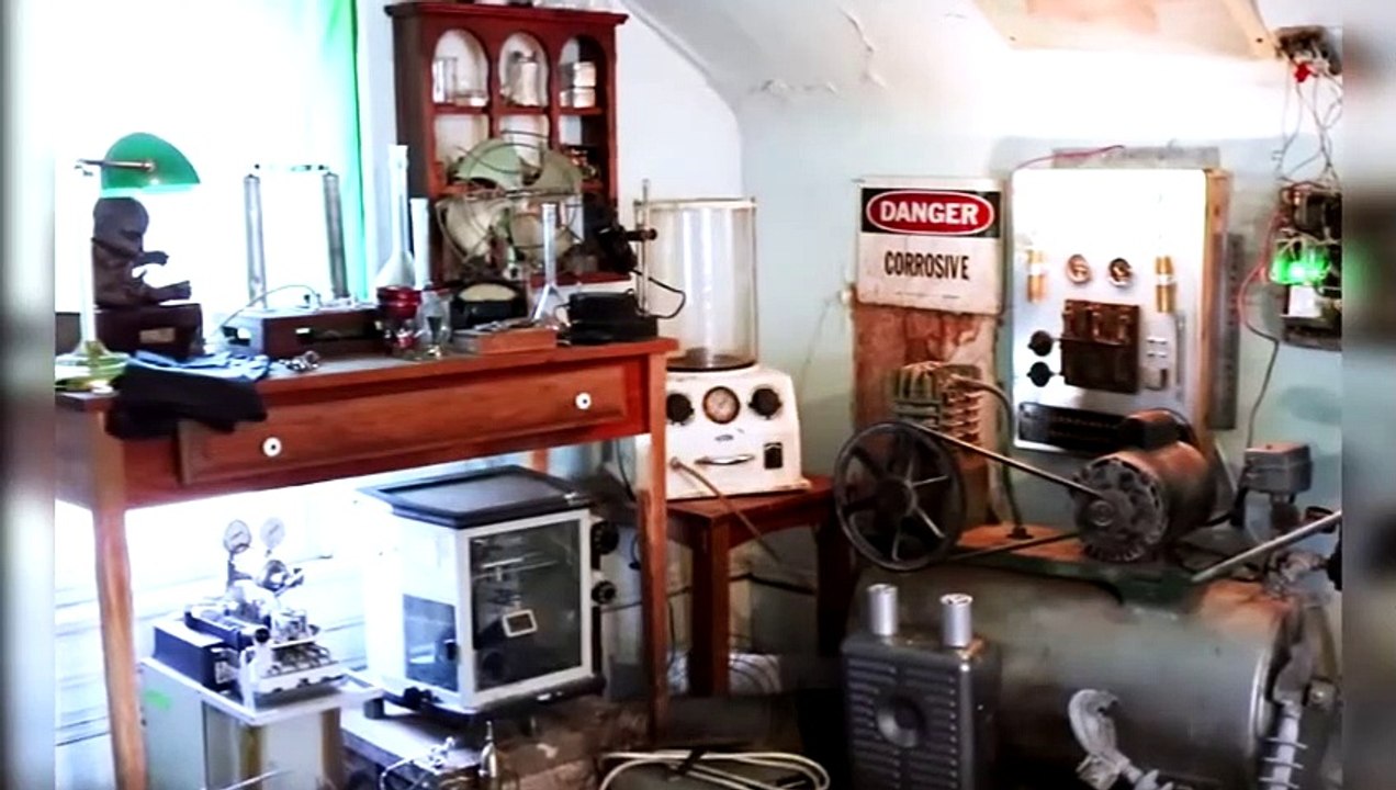 Promis sind begeistert über diese bizarren Werwolf-Welpen