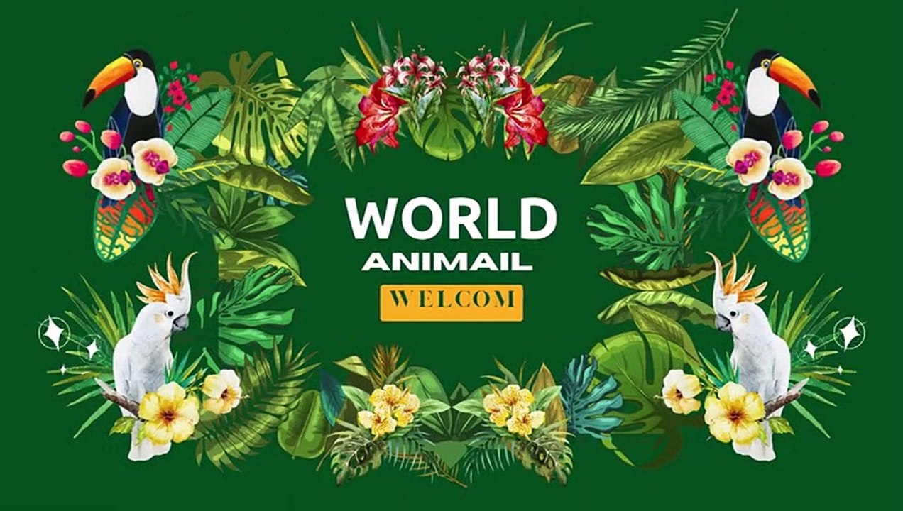 #Canari_2020 Meilleur chant de canari ❤@animalfunnyworld21