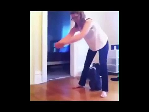 Chats drôles Chiens - Animaux droles 261#animals #cat #funny #cute @animalfunnyworld21