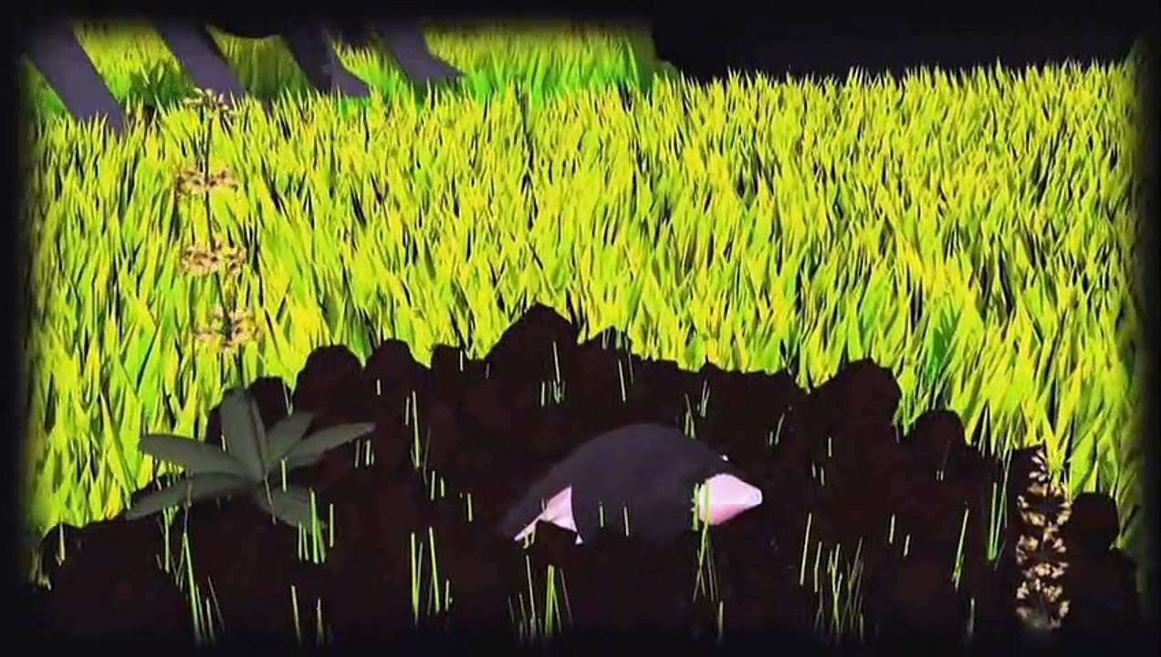 Videografik: Pestizide