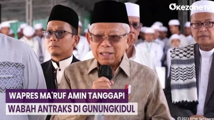 Wapres: Semua yang Terpapar Antraks Harus Diisolasi Agar Tidak Menyebar