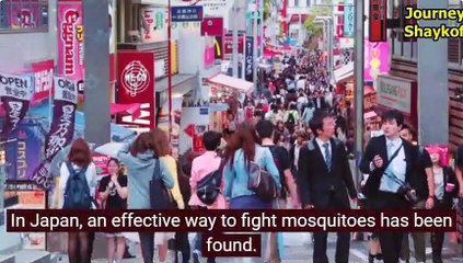 In Japan an effective way to fight mosquitoes has been found