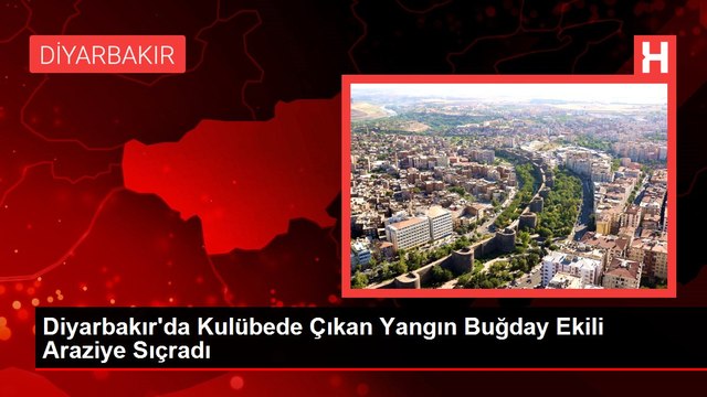 Diyarbakır'da Kulübede Çıkan Yangın Buğday Ekili Araziye Sıçradı
