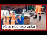Bombeiros retiram cobra de motor de carro em Minas Gerais