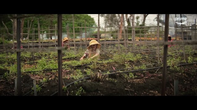 The Lost Flowers of Alice Hart - Official Trailer Prime Video