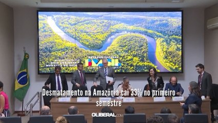 Desmatamento na Amazônia cai 33% no primeiro semestre