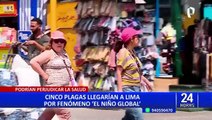 Lima podría soportar hasta 5 plagas por fenómeno El Niño Global