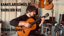 Volkan İncüvez - Kanatları Gümüş Yavru Bir Kuş (Canlı Akustik)