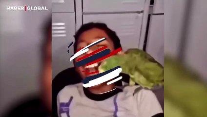 İzleyenler hem şaşırdı hem kahkaha attı... Diş çeken papağanın görüntüsü sosyal medyada viral oldu