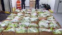 Ocupan 400 paquetes de cocaína en Puerto Caucedo