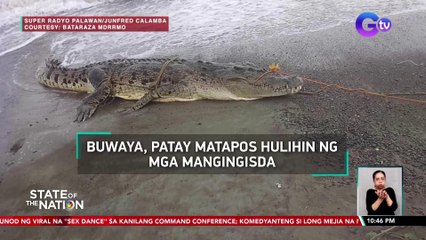 Buwaya, patay matapos hulihin ng mga mangingisda | SONA
