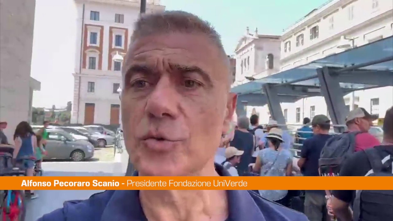 Pecoraro Scanio "File assurde per i Taxi a Roma, si risolva emergenza"