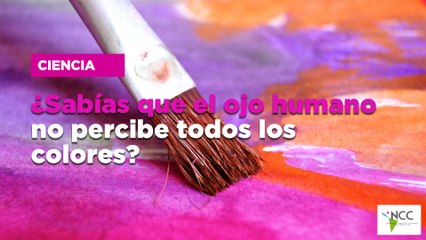 ¿Sabías que el ojo humano no percibe todos los colores?
