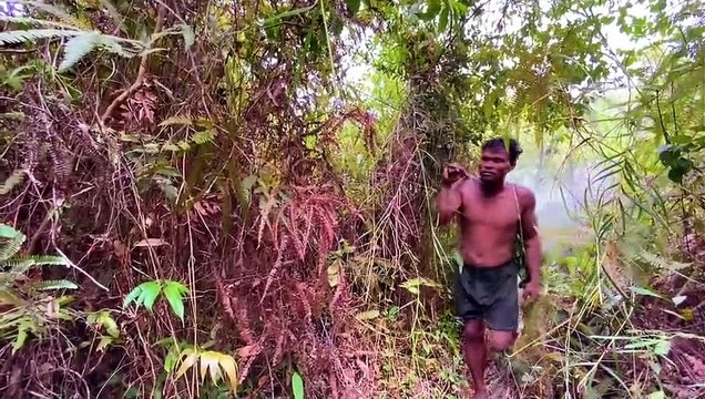 Five Stars Bushman Harvesting Honey Beehive in Jungle survival