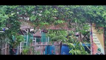 Budidaya Maggot BSF, Solusi Cerdas Atasi Limbah Rumah Tangga!