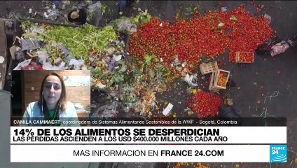 Camila Cammaert: ‘Es importante crear políticas públicas para contener el desperdicio de alimentos’