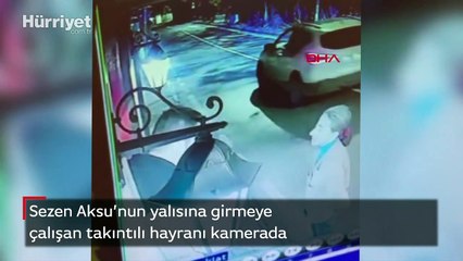 Sezen Aksu'nun yalısına girmeye çalışan takıntılı hayranı kamerada