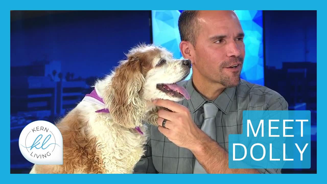 Meet Dolly | KERN LIVING