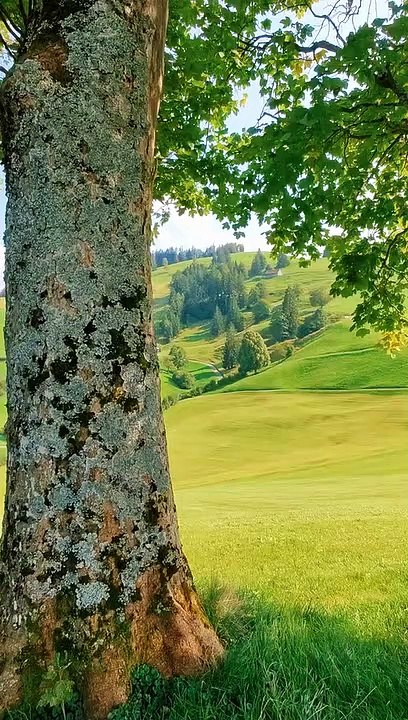 Beautiful Nature ❤️