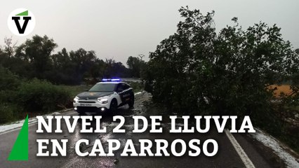 Activado el nivel 2 de emergencias por lluvia en Caparroso (Navarra)