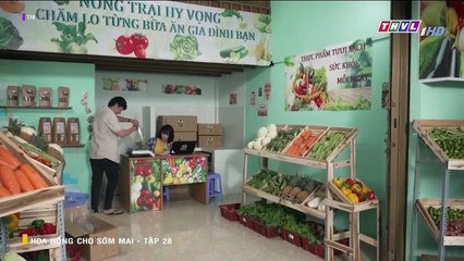 HOA HỒNG CHO SỚM MAI TẬP 28 - PHIM VIỆT NAM THVL1 - XEM PHIM HOA HONG CHO SOM MAI TAP 29