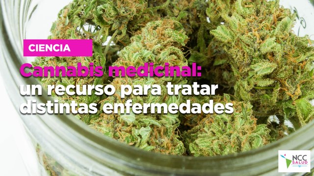 Cannabis medicinal: un recurso para tratar distintas enfermedades