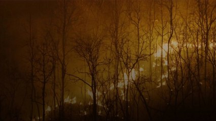Ongoing Canadian Wildfires Are Breaking Records