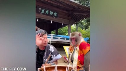 Try not to laugh 4 times while watching(720P_HD)