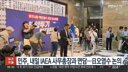 민주, 내일 IAEA 사무총장과 면담…日오염수 논의
