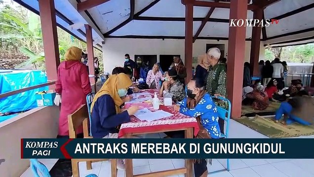 Cegah Penyebaran Antraks di Gunungkidul, Dinkes Ambil Sampel Darah Warga dan Semprot Disinfektan