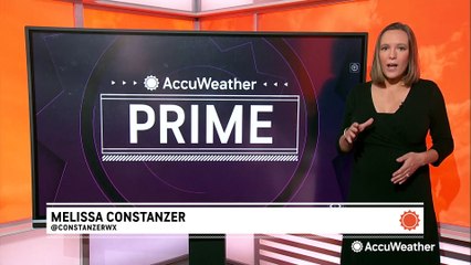 How to keep your pets safe and cool this summer