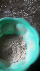 Pakan adukan ayam kampung