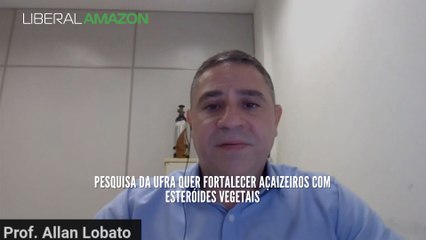Pesquisa da Ufra quer fortalecer açaizeiros com esteróides vegetais