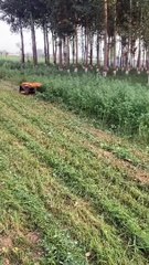 Mobil pemotong rumput