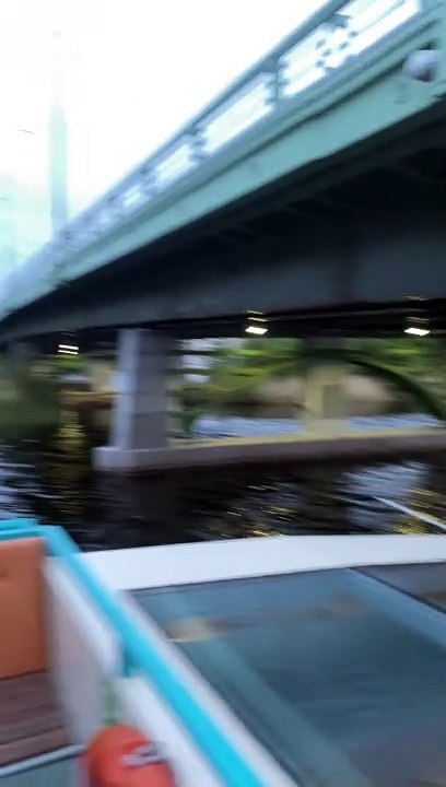 Man on Sightseeing Boat Gets a Lesson in Physics