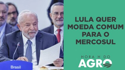 Yuan ou moeda comum do Mercosul? Saiba qual deve ser usado no comércio do agro | HORA H DO AGRO