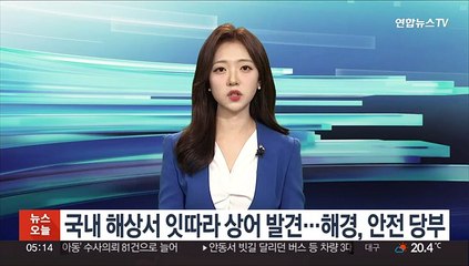 국내 해상서 잇따라 상어 발견…해경, 안전 당부