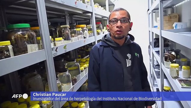 Pequeño bosque de Ecuador compite en diversidad con grandes reservas de la biosfera