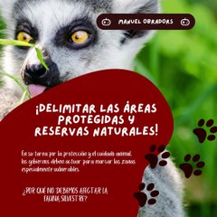 |MANUEL OBRADORS| ¿POR QUÉ NO DEBEMOS AFECTAR LA FAUNA SILVESTRE? (PARTE 1) (@MANUELOBRADORS)