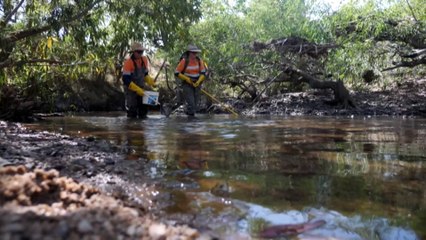 Man braves dangerous waters to assist ecosystem health